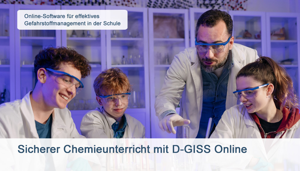 D-GISS Online